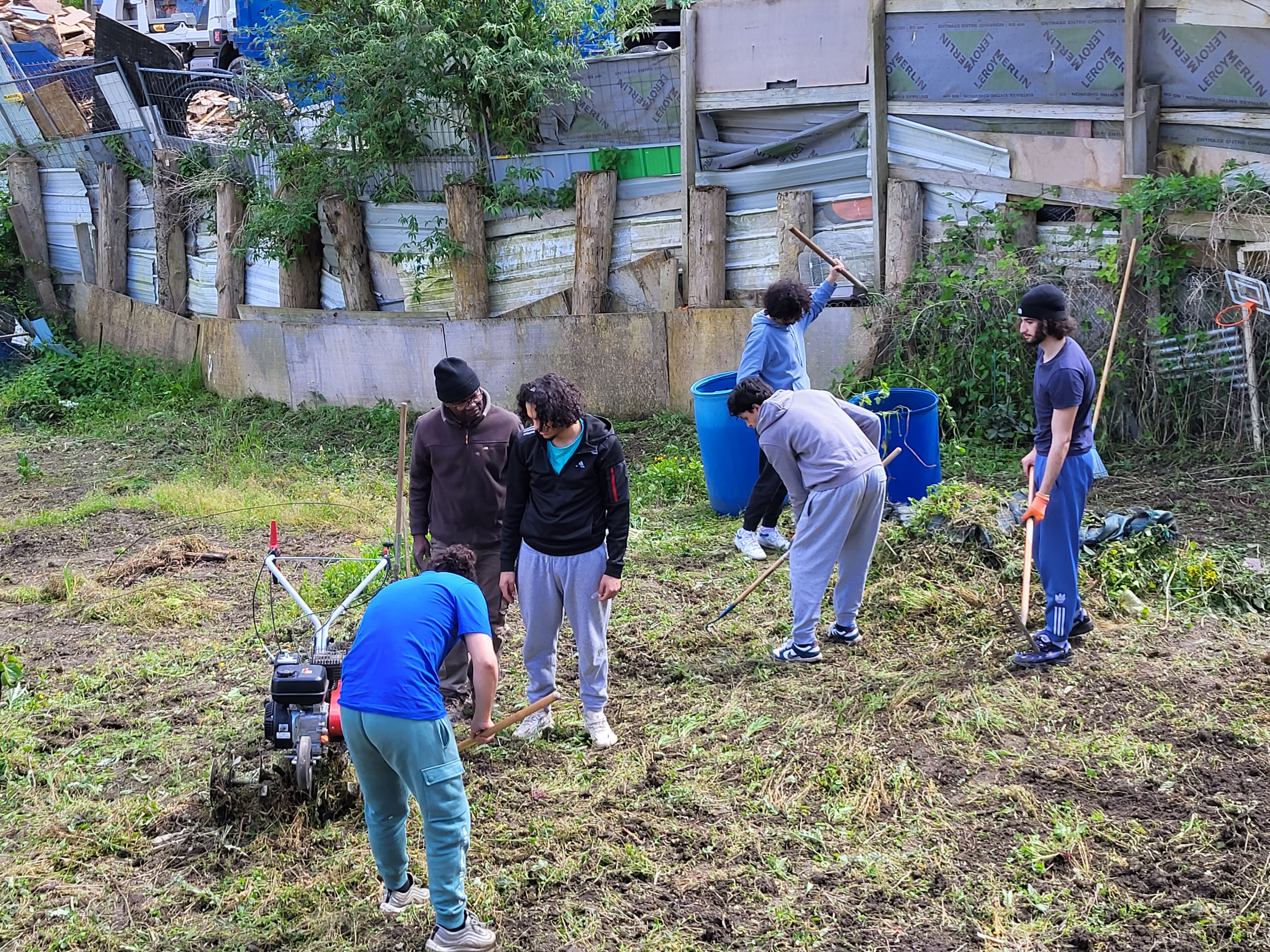 Jardinage et nettoyage